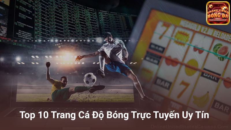 Top trang cá độ bóng đá trực tuyến uy tín